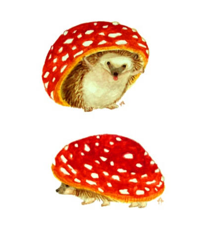 Hedgehog Hat, 2021, watercolor