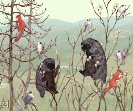 Porkies, 2026, watercolor overlaid on photo