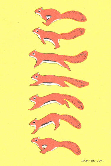 Squirrel Run, 2023, cut paper and ink