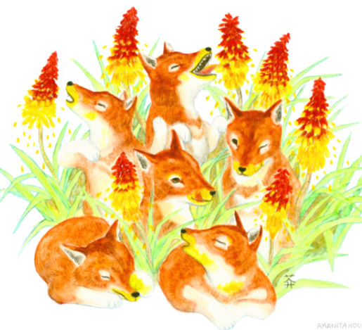 Ethiopian Wolf Pollinators, 2024, watercolor